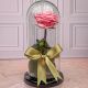 Rosa Preservada Rosada con tallo